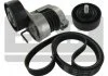 Роликовий модуль натягувача ременя (ролик, ремінь) SKF VKMA38330