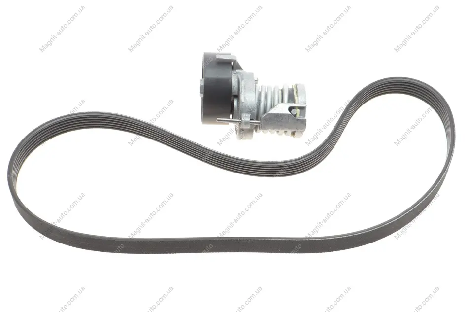 Ремкомплект ГРМ AUDI/SEAT/VW A2/Ibiza/Bora "1,4-1,6 "96-15 SKF VKMA31216 (фото 1)