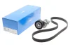Ремкомплект ГРМ AUDI/SEAT/VW A2/Ibiza/Bora "1,4-1,6 "96-15 SKF VKMA31216 (фото 7)