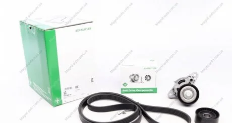 Поликлиновой ременный комплект INA 529008210