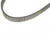 Пас поліклиновий Contitech 6PK1090ELAST (фото 4)