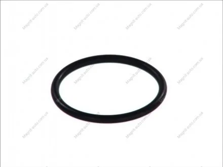 Прокладання корпусу термостату OPEL ASCONA C, ASTRA F, ASTRA G, CALIBRA A, FRONTERA A SPORT, KADETT E, KADETT E COMBO, OMEGA A, OMEGA B, REKORD E, VECTRA A, VECTRA B 1.6-2.0 09.81-04.05 TOPRAN / HANS PRIES 202326