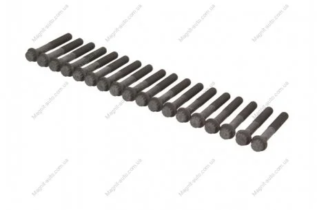 Комплект болтів ГБЦ MITSUBISHI L200 / TRITON 2.5D 04.07- AMC 258519