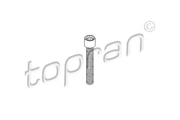 Болт, фланец карданного вала TOPRAN TOPRAN / HANS PRIES 104306 (фото 1)