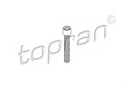 Болт, фланец карданного вала TOPRAN TOPRAN / HANS PRIES 104306