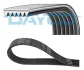 Pasek wielorowkowy /BIAгY/ DAYCO 6PK1041PM (фото 1)