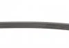 Ремень поликлиновой 5PK898 Contitech 5PK898ELAST (фото 3)