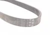 Поликлиновой ремень CONTITECH Contitech 6PK799ELAST (фото 2)