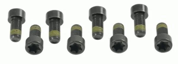 Болты крепления маховика SACHS 1874000006 (фото 1)