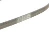 Ремень поликлиновый Conti Contitech 6PK848ELAST (фото 4)