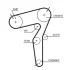 PASEK ROZRZ.FIAT 2,0JTDM 14- GATES Gates 5684XS
