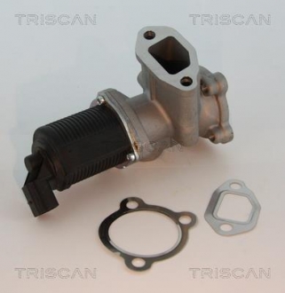 Клапан повернення відпрацьованих газів двигуна TRISCAN 881310003 (фото 1)