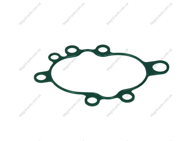 Прокладка насосу ELRING 390070 (фото 1)