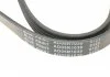 Ремень генератора поликлиновый BLUE PRINT AD05R1030 (фото 4)