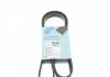 Ремень генератора поликлиновый BLUE PRINT AD05R1230 (фото 1)