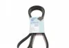 Пасок велоклиновий BLUE PRINT AD06R2550 (фото 1)