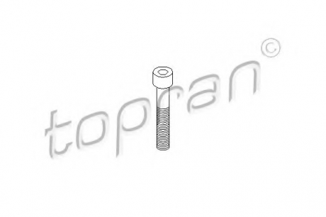 Болт, корпус скобы тормоза TOPRAN TOPRAN / HANS PRIES 110708