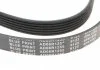 Ремень генератора поликлиновый BLUE PRINT AD06R1255 (фото 4)