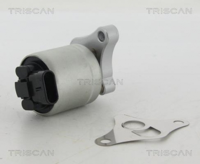 Клапан повернення відпрацьованих газів двигуна TRISCAN 881324002 (фото 1)