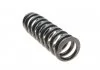 Пружина перед. TOYOTA, LANDCRUISER 3,0 D-4D 1/03- LESJOFORS 4092583 (фото 3)