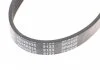 Ремень генератора поликлиновый BLUE PRINT AD05R935 (фото 4)