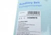 Ремень поликлиновой BLUE PRINT AD06R975 (фото 4)