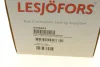 Пружина LESJOFORS 4256825 (фото 6)