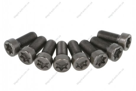 Комплект болтов, маховик LuK 411023010 (фото 1)