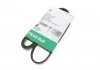 PASEK WIELOROWK. 4PK1237 INA FB4PK1237
