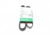 PASEK WIELOROWK. 5PK1515 INA FB5PK1515 FB5PK1515