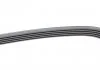 PASEK WIELOROWK. 5PK1515 INA FB5PK1515 (фото 3)
