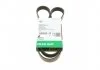 PASEK WIELOROWK. 6PK1230 INA FB6PK1230 FB6PK1230