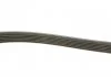 PASEK WIELOROWK. 6PK1230 INA FB6PK1230 (фото 3)