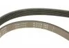 PASEK WIELOROWK. 6PK1230 INA FB6PK1230 (фото 4)