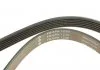 PASEK WIELOROWK. 6PK1230 INA FB6PK1230 (фото 5)