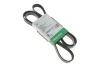 PASEK WIELOROWK. 6PK2055 INA FB6PK2055 (фото 1)