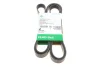 Ремень генератора поликлиновый INA FB6PK2490