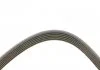 PASEK WIELOROWK. 6PK2870 INA FB6PK2870 (фото 2)