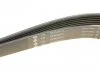 PASEK WIELOROWK. 6PK2870 INA FB6PK2870 (фото 3)