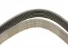 PASEK WIELOROWK. 6PK2870 INA FB6PK2870 (фото 4)