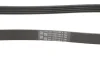 Пас приводной с длиной круга свыше 240см. Contitech 5PK1310 (фото 3)
