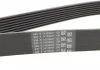 Ремінь поліклиновий, Land Rover 2.7TD 4x4Discovery 04-09, Range rover 05-13 Contitech 8PK2092 (фото 2)