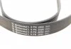 Ремінь поліклиновий, Land Rover 2.7TD 4x4Discovery 04-09, Range rover 05-13 Contitech 8PK2092 (фото 3)