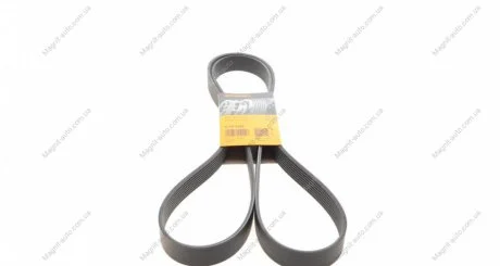 Ремінь поліклиновий, Land Rover 2.7TD 4x4Discovery 04-09, Range rover 05-13 Contitech 8PK2092
