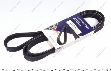Ремень генератора 5PK1815 BMW/Hyundai/KIA HUTCHINSON 1815K5