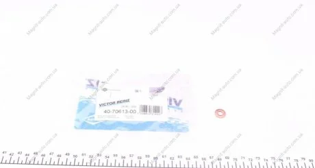 Шайба під форсунку VICTOR REINZ 407061300