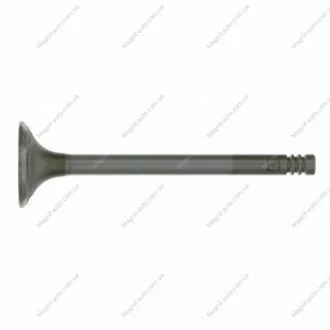 Випускний клапан FEBI BILSTEIN 19635