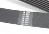 Ремінь генератора Ford Connect 1.5/1.6 TDCI 13- HUTCHINSON 963K6 (фото 3)