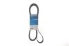 Pasek wielorowkowy CAR DAYCO 8PK2490 (фото 2)