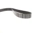 Pasek wielorowkowy CAR DAYCO 8PK2490 (фото 4)